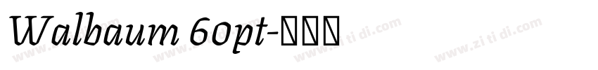 Walbaum 60pt字体转换